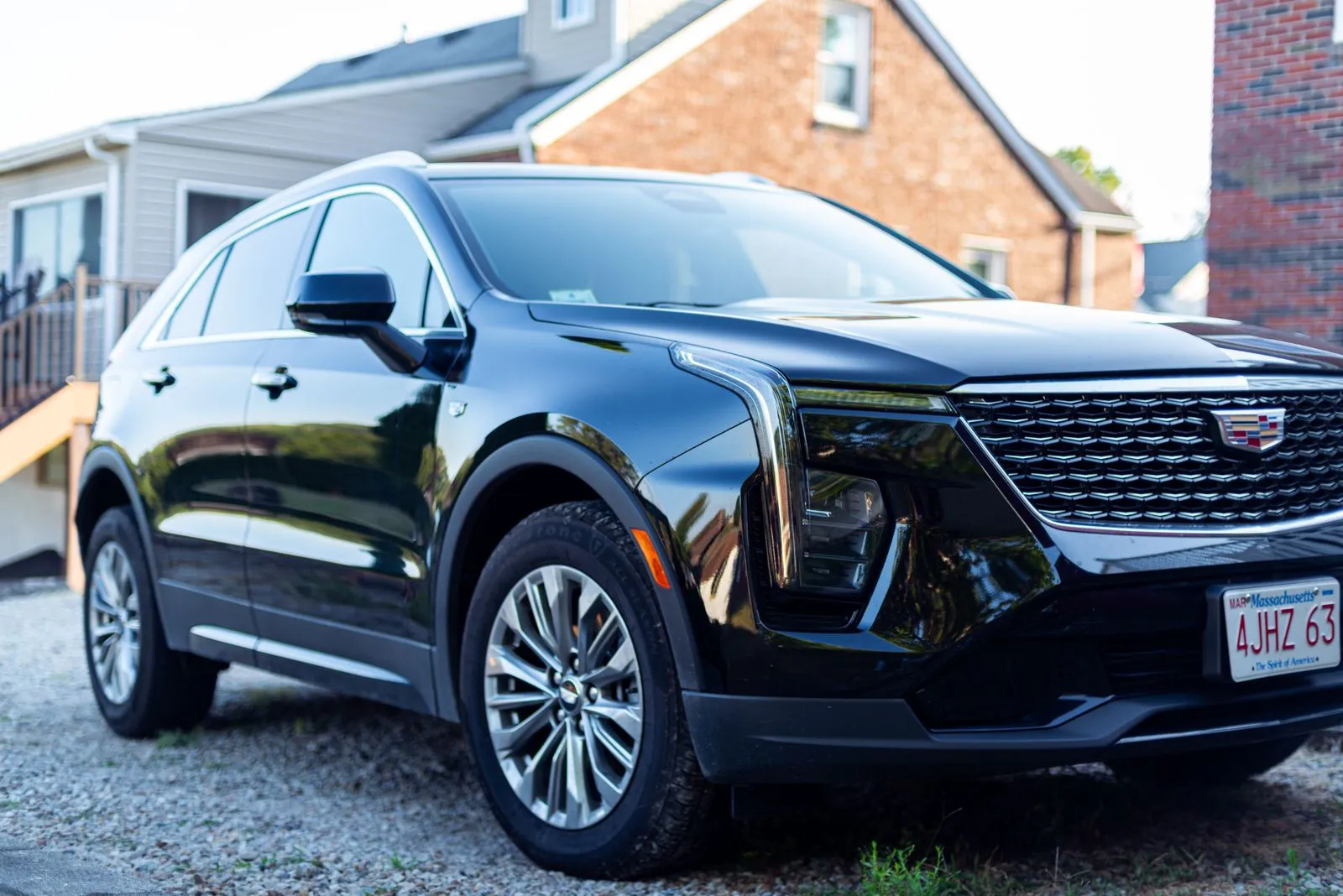 Traveling to New Orleans With Pets: What a Car Service Can (and Can't) Do